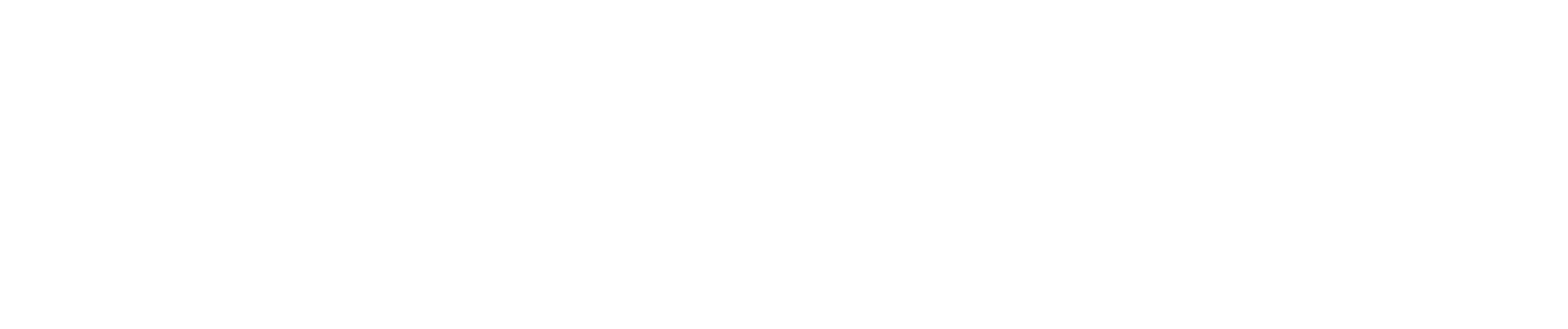 Ruokala brand logo white representing quality kitchen appliances
